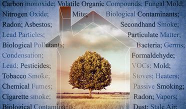 house with tree in the middle