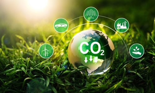 co2 cycle with grass